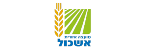אשכול.png